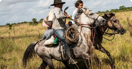 Casanare