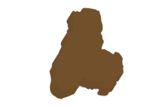 Tolima