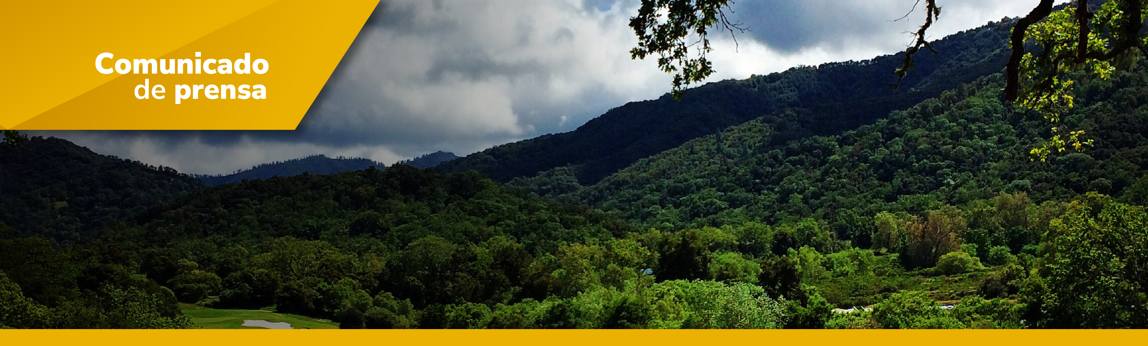 ANM niega solicitud de prórroga al título minero de Minera de Cobre Quebradona en Jericó y Támesis (Antioquia)