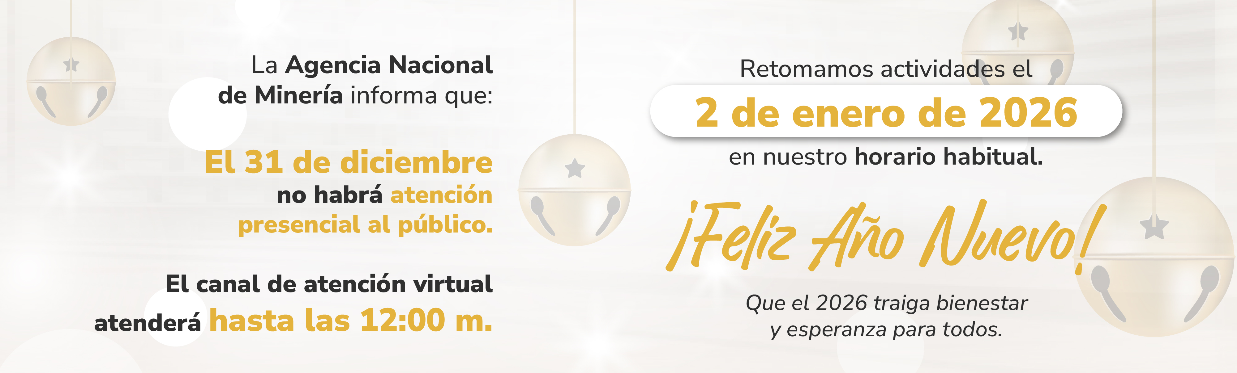 servicio-comunidad-externa Dia 31 de Diciembre 2025