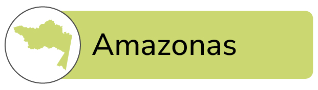 Amazonas