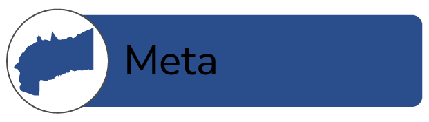 Meta