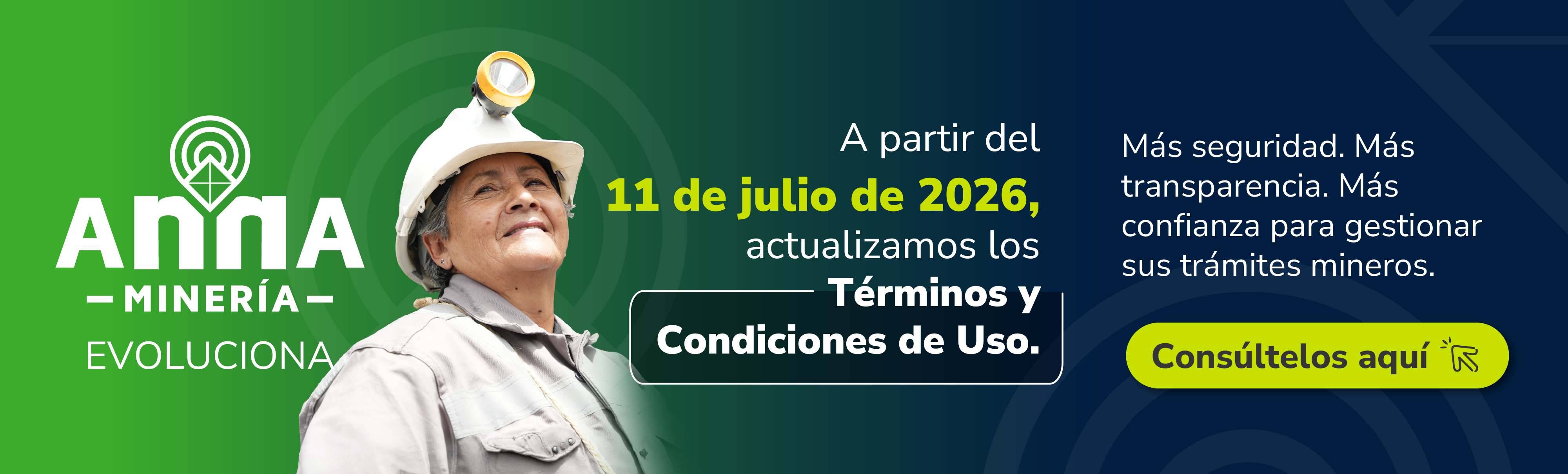Terminos y Condiciones AnnA MInería
