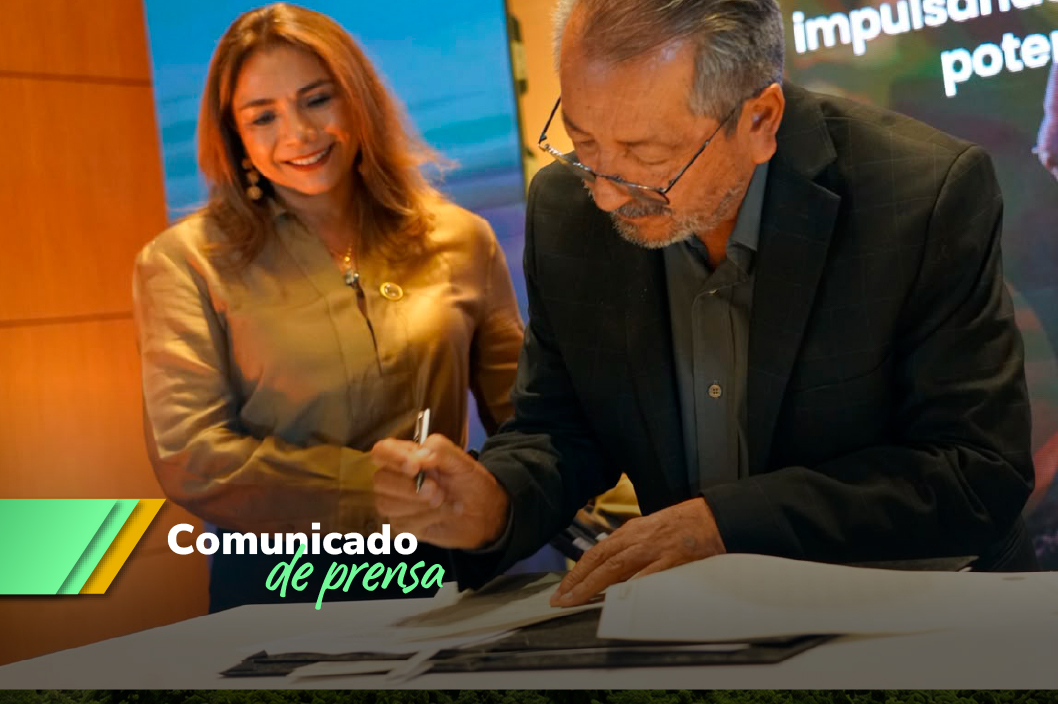 ANM entregará más de 25.000 hectáreas con alto potencial mineral en la modalidad de Rondas Mineras